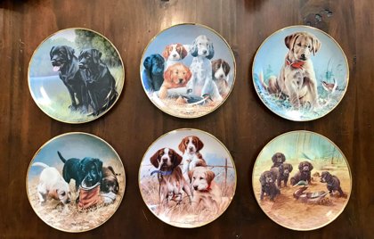 Collectors Plates Set of 6